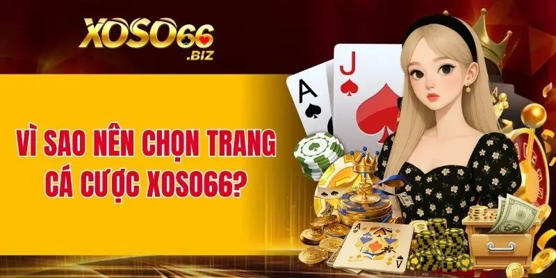 Lý do XOSO66 là lựa chọn hàng đầu cho bạn